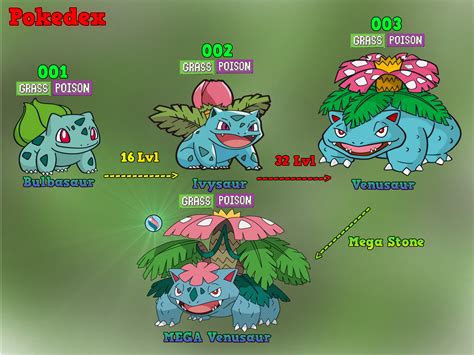 what level does bulbasaur evolve|bulbasaur evolution chart.